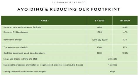 gucci sustainable energy strategy.